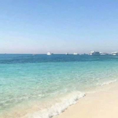 米乐·M6下载手机版