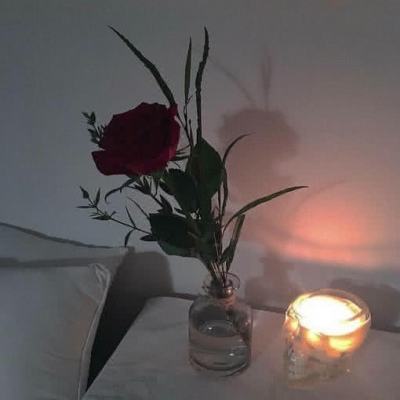 利发app手机登陆